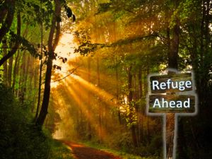 Seek Refuge in Christ While There is Still Time